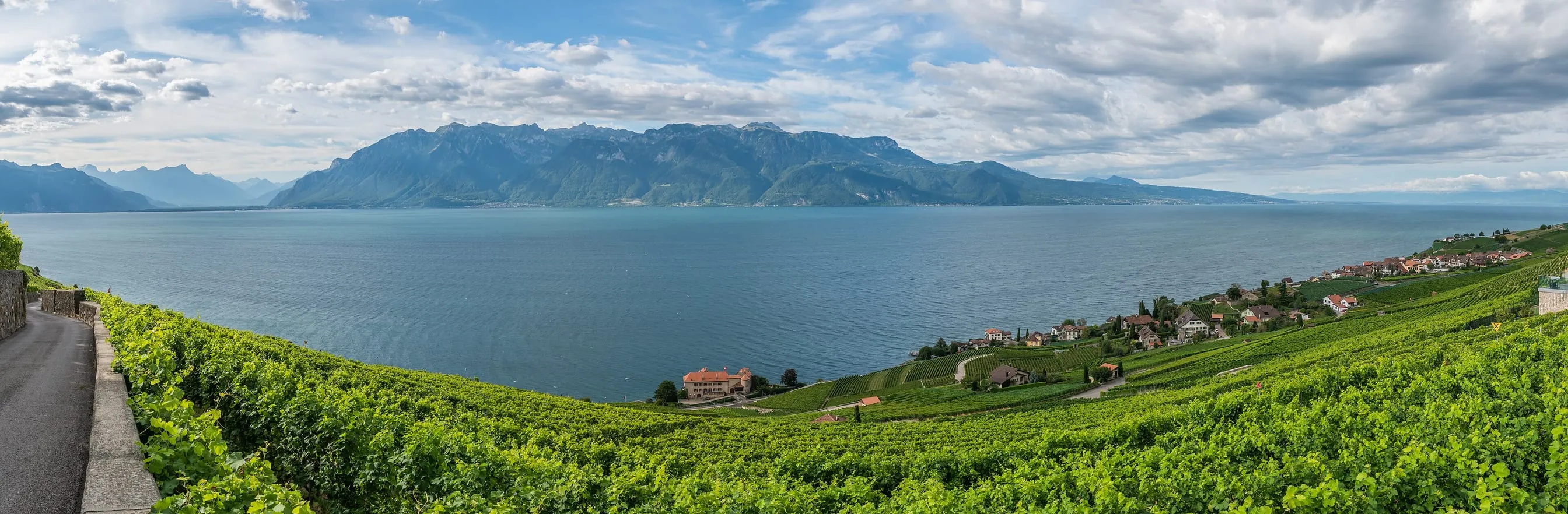 Blick von den Weinterrassen des Lavaux über den Genfersee auf die Berge am gegenüberliegenden Ufer